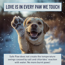Safe Paw 36 Pack Pet-Safe Ice Melt, Salt & Chloride-Free Deicer, 35 Lbs