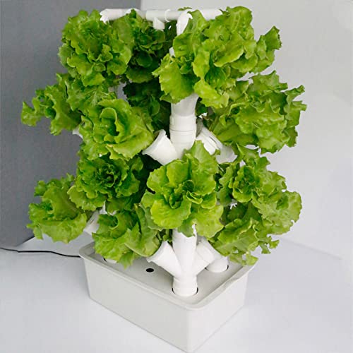 BEESOM Vertical Hydroponics Indoor Growing System, Garden Hydroponic Growing System, Vertical Hydroponic Kit for Gardening, Grow Lettuce, Herbs, Veggies & Fruits,32Holes
