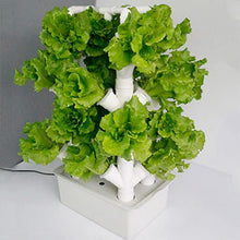 BEESOM Vertical Hydroponics Indoor Growing System, Garden Hydroponic Growing System, Vertical Hydroponic Kit for Gardening, Grow Lettuce, Herbs, Veggies & Fruits,32Holes