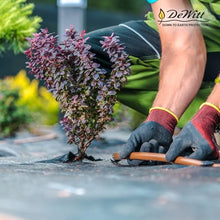 Dewitt P5 Pro 5 Ounce Weed Barrier Ground Fabric Black 5 x 250 Feet (6 Pack)