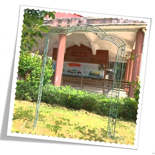 iumLeap Trellis Rose Arch Metal Garden Arch Trellis Stable Garden Arch for Climbing Plants, 5.2ft×7.8ft/6ft×7.8ft, Backdrop Stand for Garden Decoration, One Color-180cm/6ft