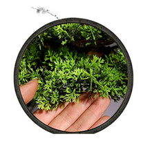 Creative Simulation Welcoming Pine Bonsai Living Room Desktop Green Plants Potted Corridor TV Cabinet Fake Flower Plants Decoration Gifts House Plant (Color : B)