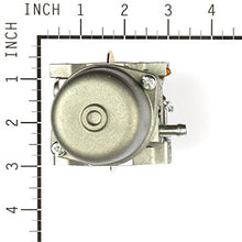 Briggs & Stratton 799728 Carburetor Replaces 498027/498231/499161