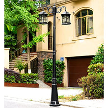 iumLeap 112Inch 2-Head Outdoor Lamp Post Light Apillar Post Light Garden Path Pillar Lamp Ip65 Waterproof Street Light Glass Lantern Courtyard Bollard Path Lamp Pathlighting (Black-112inch)