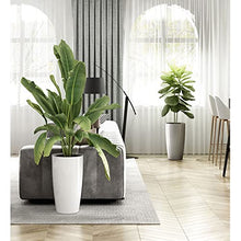 HIHELO Flower Pots Resin Plastic Flowerpot Garden Art Vase Plant Stand Automatic Water-Absorbing Flowerpot Home Flowerpot Plant Pots (Color : K)