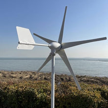 OLONETO 2000W Wind Turbine Kit 12V 24V 48V 5 Blade Wind Turbine Generator and Hybrid MPPT Controller Home Wind and Solar Hybrid Power Generation System (Color : 12V)
