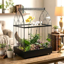 H Potter Extra Large Glass Terrarium Wardian Case, 22.6 Inch Tall