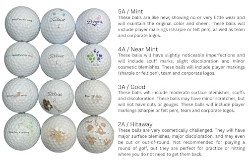 Golf Ball Planet Pro V1 2019 5A/Mint Used Golf Balls (100)