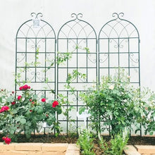 leoglint 4 Pack Metal Garden Trellis 71" x 19.7" Rustproof Trellis for Climbing Plants Outdoor Flower Support Black