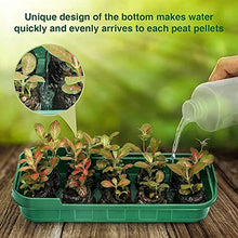 1pcs Gardening Home Decoration Fleshy Nursery Tray Three-Color 10-Hole Can Be Placed Nursery Block Flip Nursery Box (Color : Black) (Green)