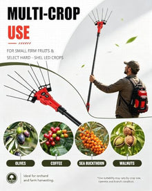 BEESOM Electric Olive Harvester 600W 6500 RPM 6-Speed Telescopic Pole Cordless 600w