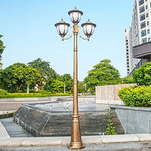 Lamp Post Lights Outdoor,Led Lawn Lamp Outdoor High Pole Lamp Community Path Light Garden Landscape Lamp Lighting European Victorian Victorian Style Villa 2.6 Meters Courtyard Street Lamp