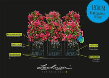 Lechuza Trio Cottage 30 Graphite Black, Trough Self-Watering Large Planter, H13.4 L39.4 W12.6 in, 3 Liners