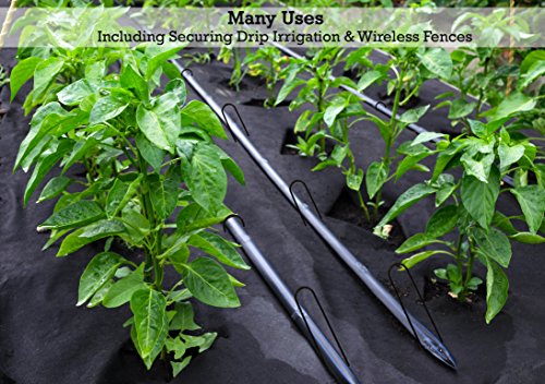 Sandbaggy Round Top 6-Inch Landscape Staples for Ground Cover & Drip Irrigation (10,000 Staples)