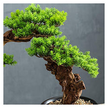 Simulation Welcome Guest Bonsai Ornaments Living Room Hallway Home Soft Ornament Christmas Study Green Plant Resin Gift House Plant (Color : B)