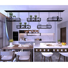 ZOCWJK Plant standCeiling Hanging Flower Pot Display Stand Hanging Plant Holder Indoor Plant Pots Wall Window Plant Hanger for Indoor Herb Garden Black,