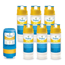 Pool FROG Model 5400 Replacement Mineral Reservoir, 2 Month Bundle