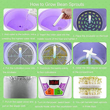 Bean Sprout Machine, Automatic Intelligent Germination Machine PTC Temperature Controller 360 Degree Sprinkler 3 Layers Seed Cereal Sprouting Machine