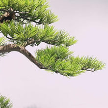 YXIANG56Q Fake Plants Modern Simulation Pine Tree Bonsai Creative Entryway Corner Decoration Fake Tree Greenery Ornaments Living Room Ornaments Bonsai Tree
