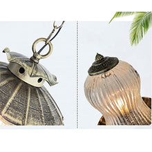 SteFik Outdoor Pendant Light Fixture, 1-Light Exterior Hanging Lantern Outside Chandelier Porch Lighting in Bronze Finish with Clear Ribbed Glass for Patio, Entryway Interesting Life,Pendant