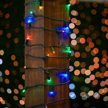 Novelty Lights 24-Pack, 25 Feet 50 LED Multicolor Christmas Mini Light String on Green Wire, 5mm Wide Angle Bulbs, Connectable, Indoor/Outdoor Decor, UL Listed