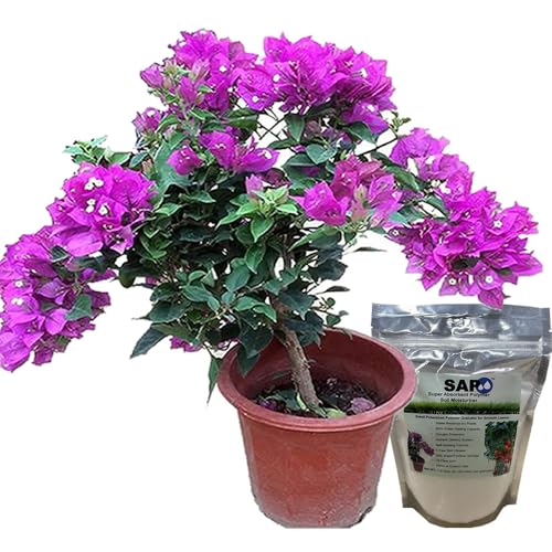 Soil Vigor Soil Moisturizer 45 Pounds