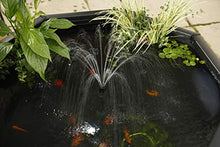 Aquagarden Complete Raised Window Pond Kit - Octagon Mocha