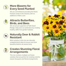Eden Brothers Daisy Crazy Flower Mixed Seeds for Planting, 5 lb, 2,400,000+ Seeds with Creeping, Painted, Yellow Daisy | Attracts Pollinators, Plant in Spring or Fall, Zones 3, 4, 5, 6, 7, 8, 9, 10