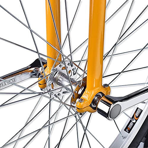 JINCAN Unicycle 20-Inch Balance Bicycle with Anti-Skid Tires