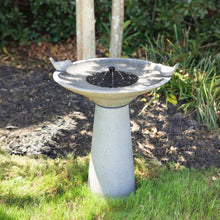 Calla IntelliSolar Light Cement Birdbath - Gray
