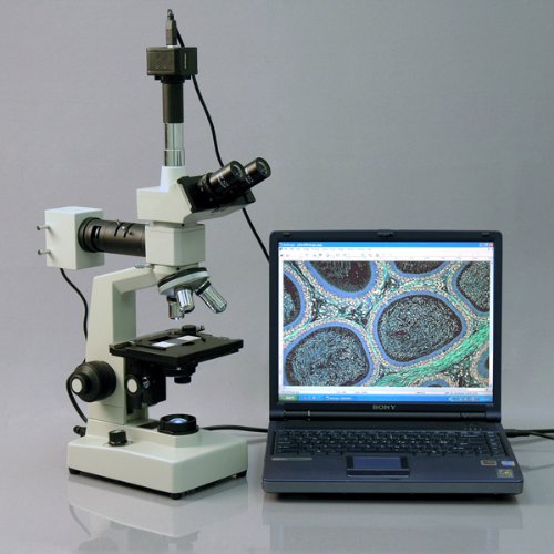 AmScope Digital Trinocular Metallurgical Microscope 40X-2000X with 5MP Camera