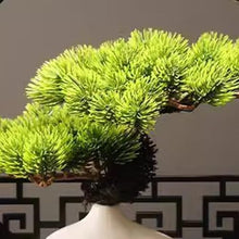 Fake Plants Living Room Decoration Porch Cabinet Office Welcome Pine Bonsai Simulation Pine Bonsai Ornaments Zen Decorations Simulation Bonsai Tree