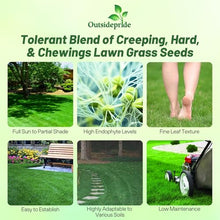 Outsidepride Legacy Fine Fescue Grass Seed Mix - 50 lbs. Shade & Sun Tolerant Blend of Hard, Chewings & Creeping Red with OptiGrowth Coating for Better Establishment