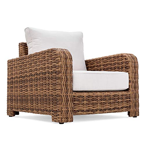 Winston Nico Lounge Chair Antique Chestnut Frame Sunbrella Cast Pumice Fabric
