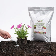 Soil Vigor Keep Plants Alive Without Water for Up to 2-Weeks - Super Absorbent Polymer Crystals - Potassium Polyacrylate for Lawns & Gardens - Reduces Watering 50% - Safe for Edibles (45 Pounds)