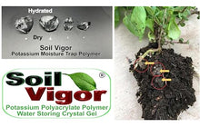 Soil Vigor Potassium Polyacrylate Water Storing Crystals for Plants 40 Pounds White