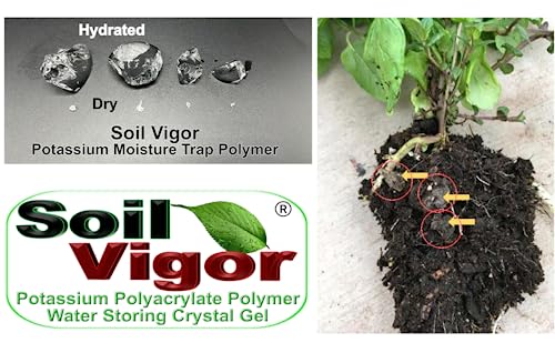 Soil Vigor Potassium Polyacrylate Water Storing Crystals for Plants 40 Pounds White