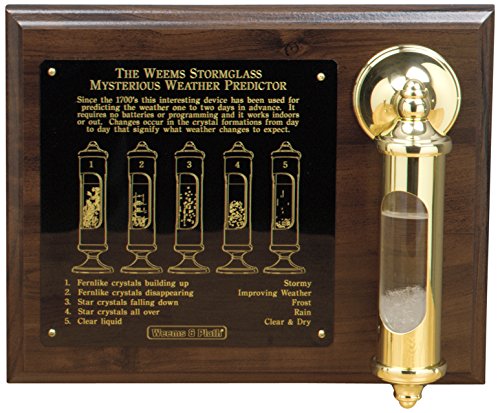 Weems and Plath Stormglass with Display, Brass