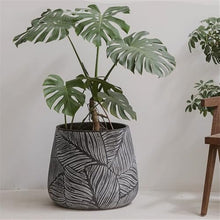 x3anggyt5 Planter Cement Plant Pots with Drain Hole Large Calibre Flower Containe for Homes Offices Garden