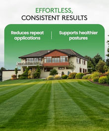 ALLIGARE Whetstone Post-Emergent Weed Killer for Rangelands, CRP, Rights-of-Way & Utility Sites - 2.5 Gallon Herbicide Concentrate for Selective Control of Woody Plants, Broadleaf Weeds & Vines