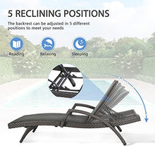 Iwicker Aluminum Outdoor Chaise Lounges Set of 2 Dark Brown
