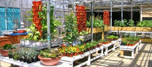 Vertical Gardening Planters - Use Mr Stacky Pots With ANY Grow Medium (Soil, Hydroton, Vermiculte, Perlite, Coco Fiber) - Great for Hydroponics and Aquaponics Too - Build Your Own Stacking Container