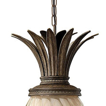 Bailey Street Home 4 Light Outdoor Hanging Lantern Bronze