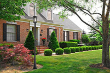 Z-Lite 1 Light Outdoor Post Mounted Fixture Oil Rubbed Bronze