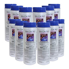 SpaChoice 1.5-Pounds 12-Pack Premium Bromine Tablets for Hot Tub