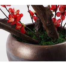 YXIANG56Q Fake Plants Artificial Bonsai Silk Peach Blossom Tree Plants with Ceramics Pots Fake Flowers Decorative Bonsai Plants for Home Office Décor Bonsai Tree