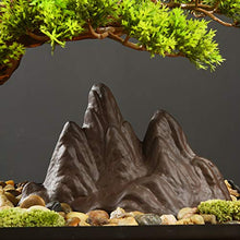Welcome Pine Bonsai Plant Podocarpus Chinensis Landscape Micro-Landscape Entrance Hotel New Ornaments Gifts and Crafts House Plant