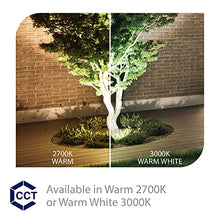 WAC Landscape Lighting, Wall Wash Light LED 12V with Adjustable Beam Angle and Integral Brightness Control 2700K in Black