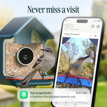 Birdbuddy Home Smart Bird Feeder with Camera, AI Bird ID Dual Solar Panel