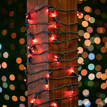 Novelty Lights 24-Pack, 25 Feet 50 LED Red Christmas Mini Light String on Green Wire, 5mm Wide Angle Bulbs, Connectable, Indoor/Outdoor Decor, UL Listed